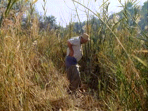 h9F17D0F3.gif