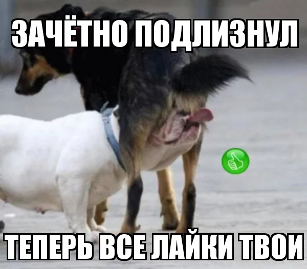 h9geab.webp