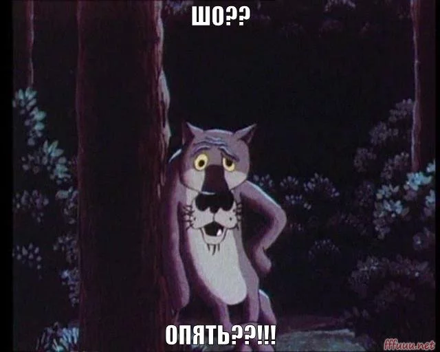 h9jjdh.webp