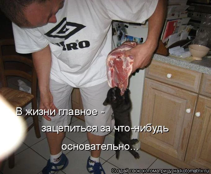 ha0jcg.webp