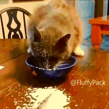ha1dce.gif