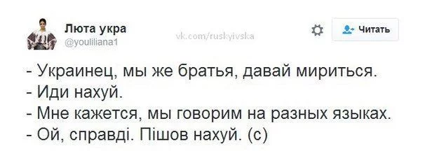 hadej8.webp