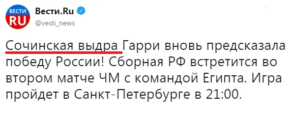 hadff3.webp
