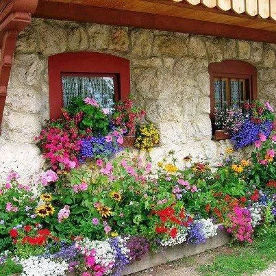 hafha2.webp