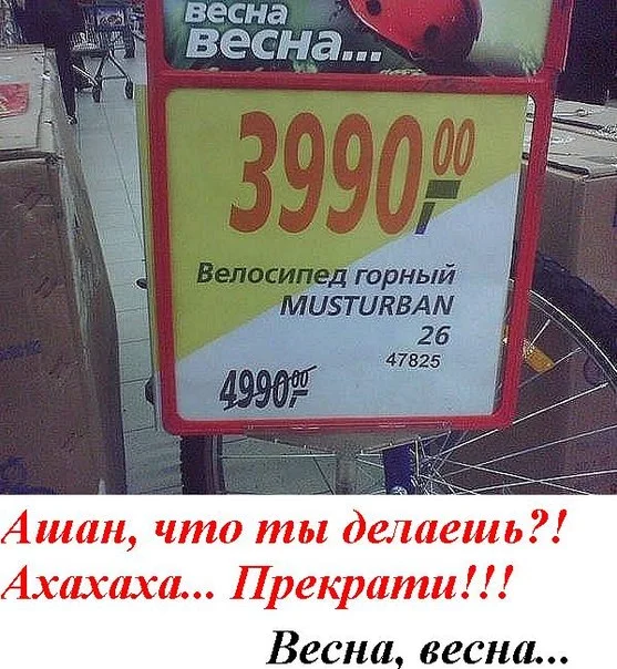 hag8ab.webp