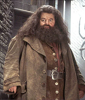 Hagrid3.webp