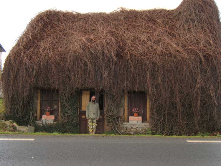 hairy-house.jpg