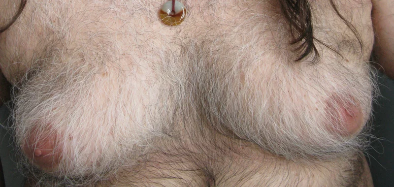 hairy_man_boobs.webp