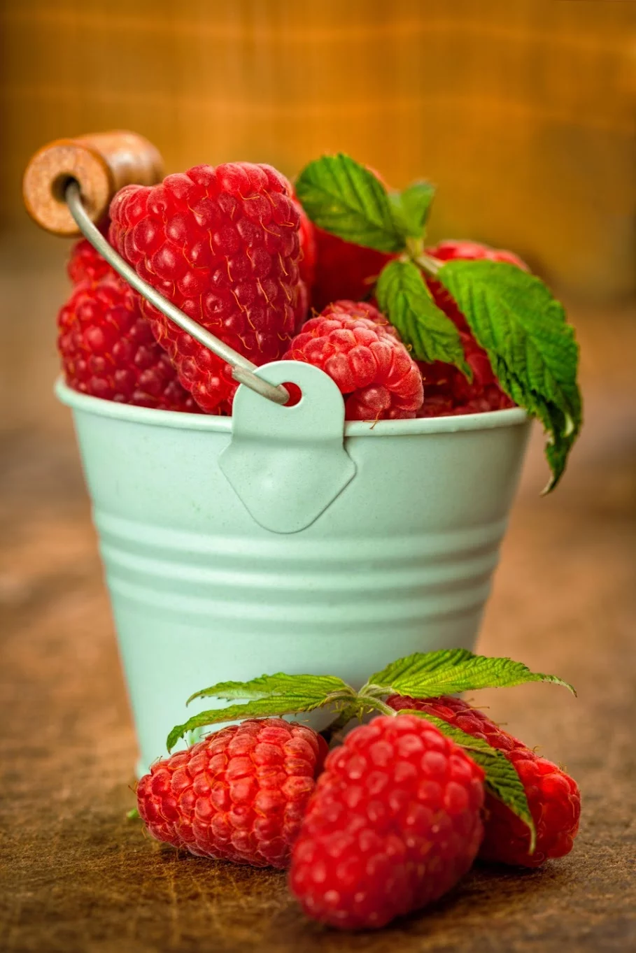 hajdg3.webp