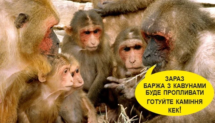 hajh3j.webp
