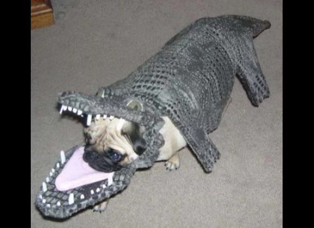 halloween-costumes6.webp