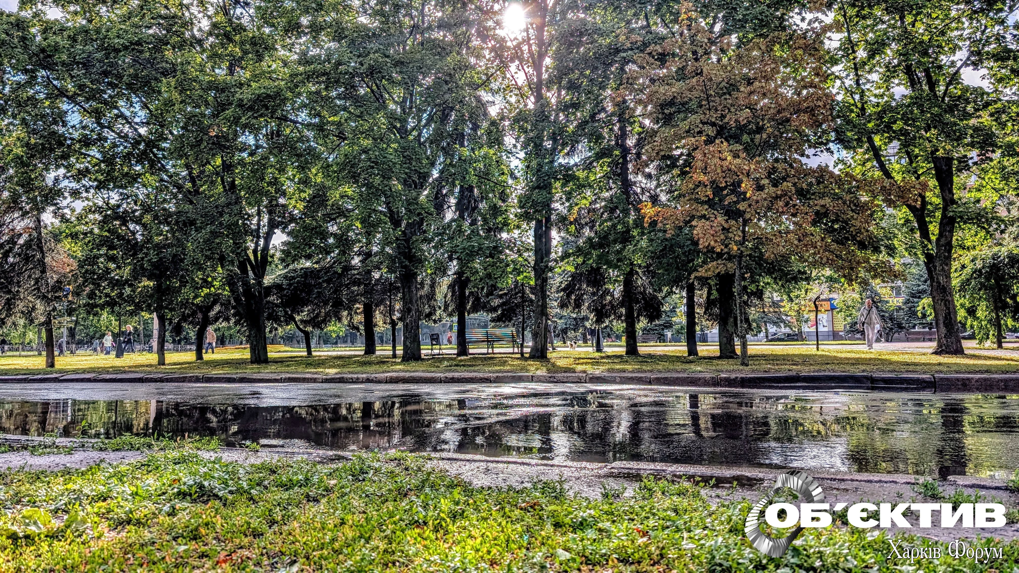 Harkov-dozhd-leto-park.webp