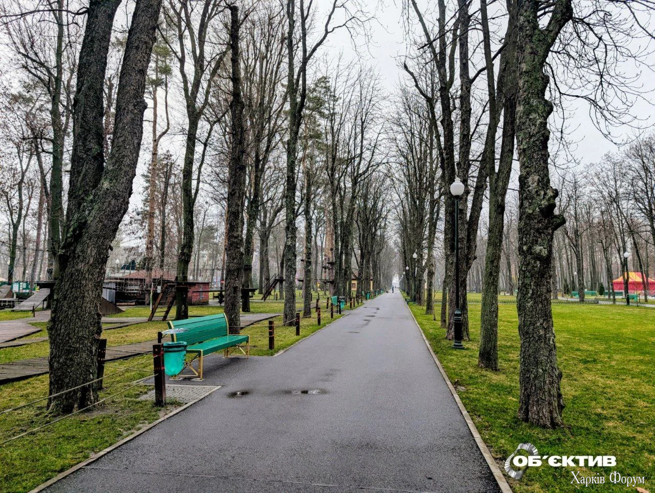harkov-osen-zima-bez-snega-park.webp