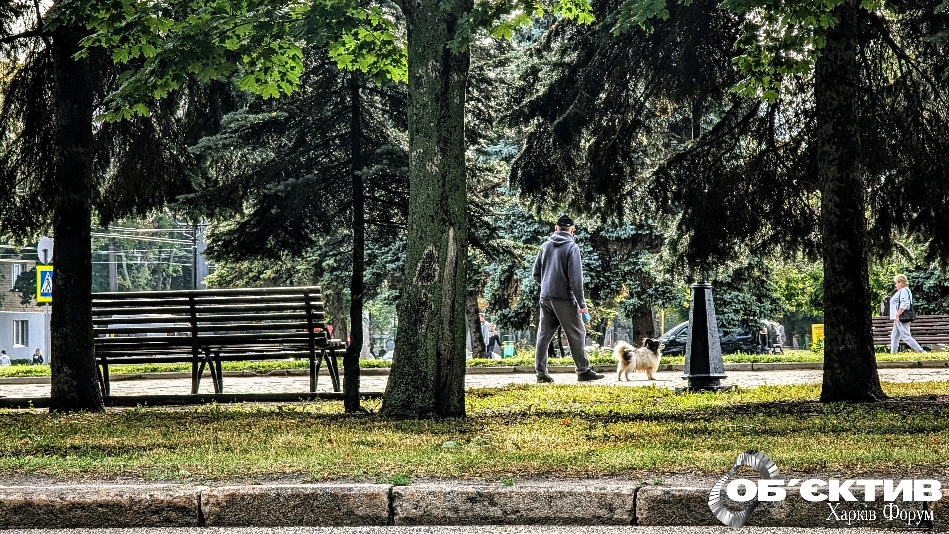 Harkov-vid-Harkova-leto-park.webp