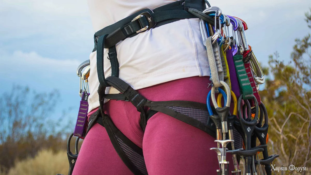 harness-2e16d0ba-fill-1200x697.jpg