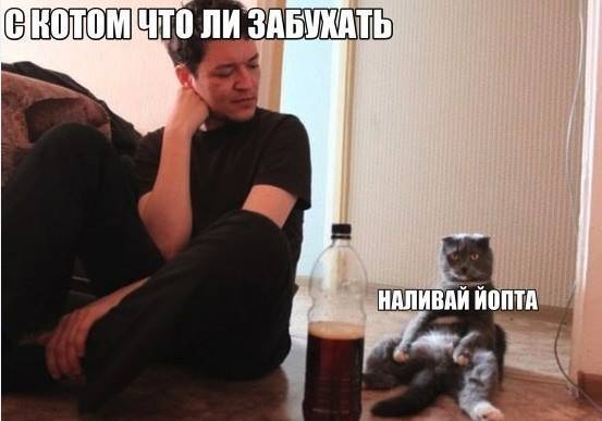 hb0jdh.jpg