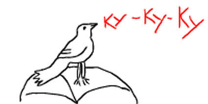 hb4cch.gif