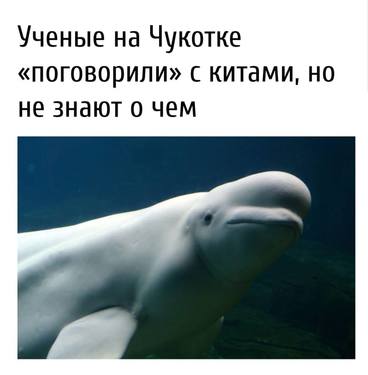 hb7bbj.jpg
