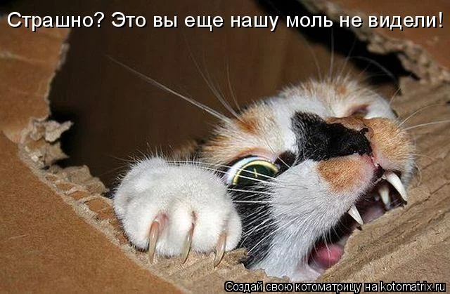 hbad0a.webp