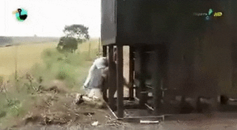 hbcfd9.gif