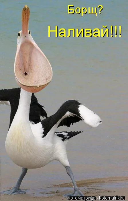 hbdf3d.webp