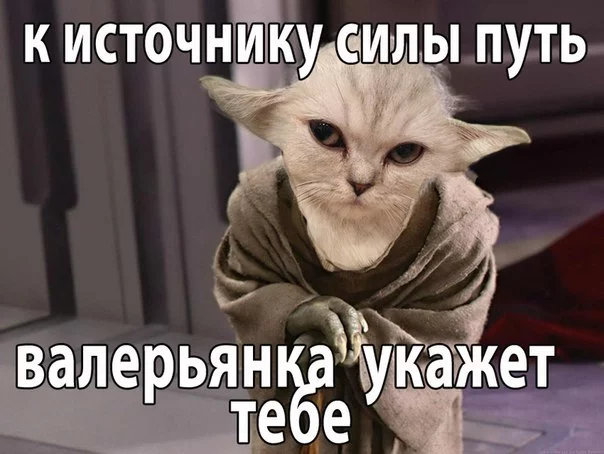 hbgac1.webp