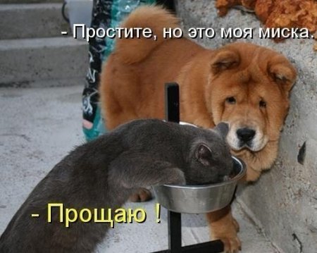 hbhb1g.jpg