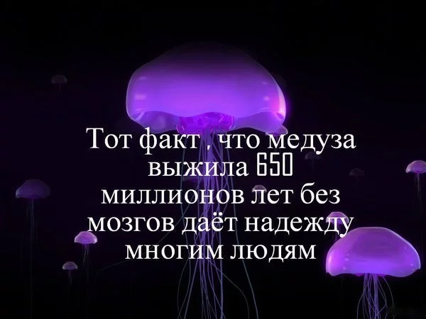 hbj6dj.webp
