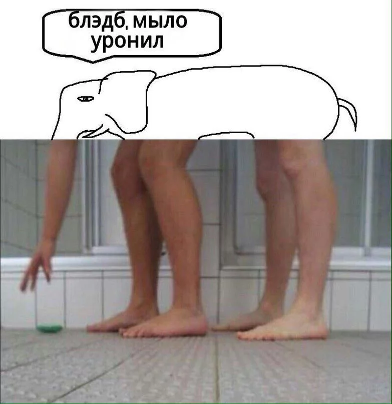 hbjfh5.webp
