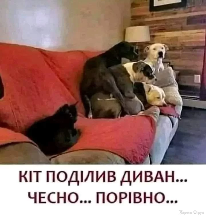 hc=0wz9KBzDGucQ7kNvgFn590U&_nc_ht=scontent.fdnk1-4.webp