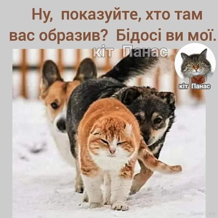 hc=3zXjOLjv73UQ7kNvgEwadxI&_nc_ht=scontent.fdnk1-3.webp