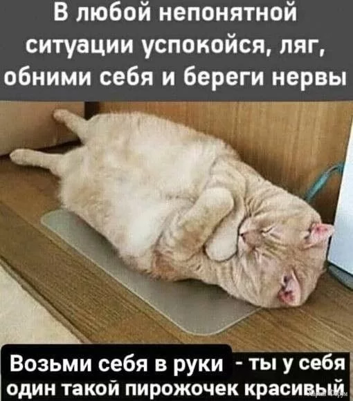 hc=4wIdUjFQeO4Q7kNvgEAEW5_&_nc_ht=scontent.fhrk8-1.webp
