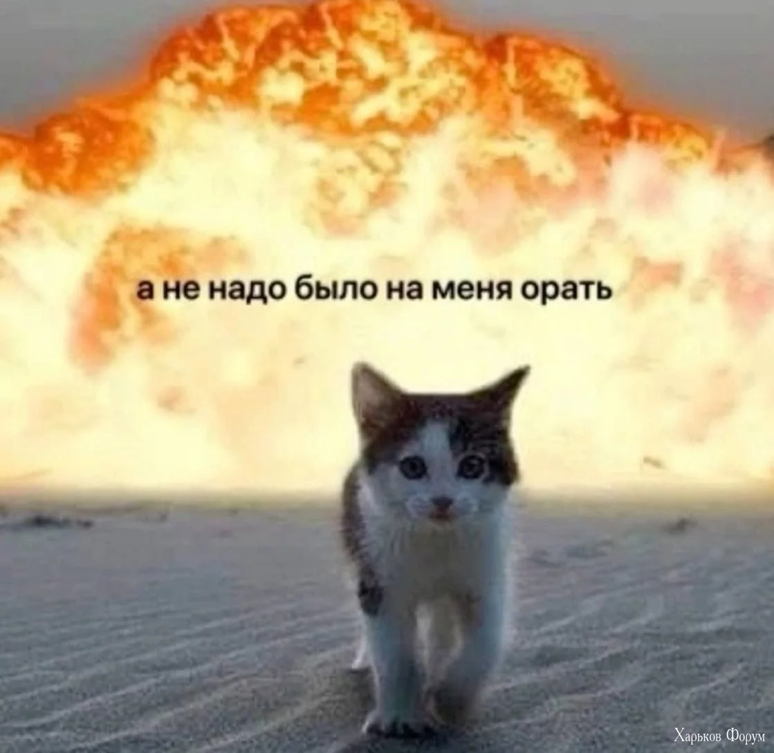 hc=5bHhfNFYXbMQ7kNvgHbLaz6&_nc_ht=scontent.fdnk3-1.webp
