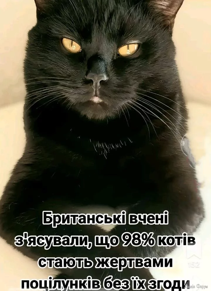 hc=BLHSLvutU3sQ7kNvgFvlEjO&_nc_ht=scontent.fdnk1-4.webp