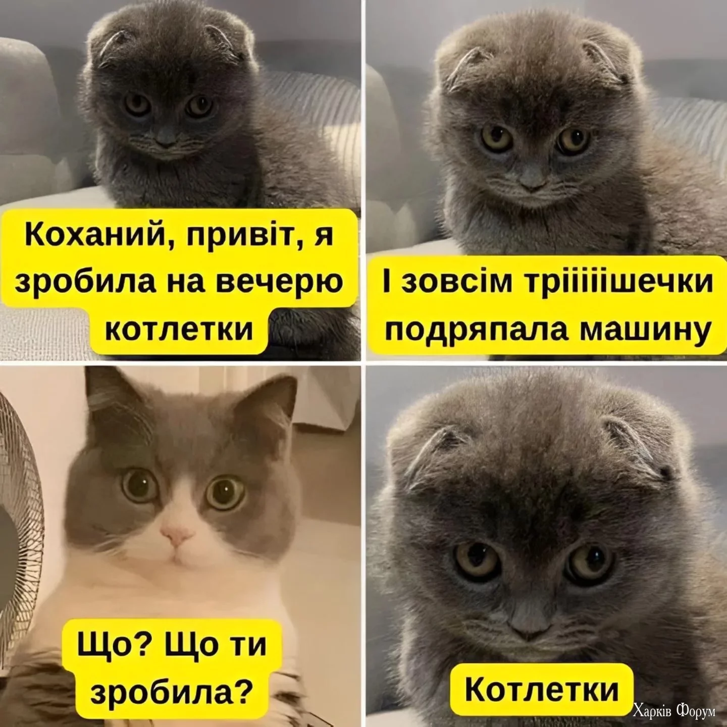 hc=DXZ8s5nFODMQ7kNvgFmmWmj&_nc_ht=scontent.fdnk1-3.webp