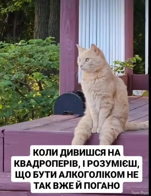 hc=g6hnGt9aRB4Q7kNvgHa2Fmu&_nc_ht=scontent.fdnk1-3.webp