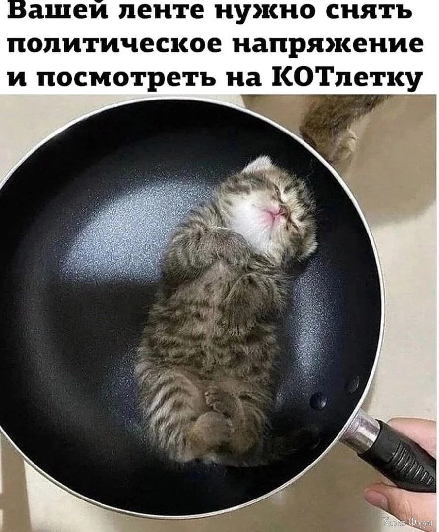 hc=HITbVgcPc0sQ7kNvgGYa-J0&_nc_ht=scontent.fhrk8-1.webp