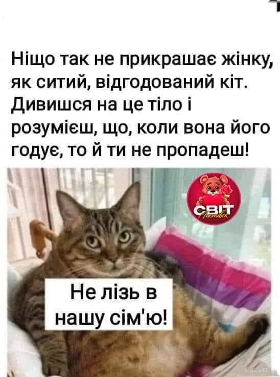 hc=k5tIDIbfIhsQ7kNvgHfFLmt&_nc_ht=scontent.fdnk1-4.webp
