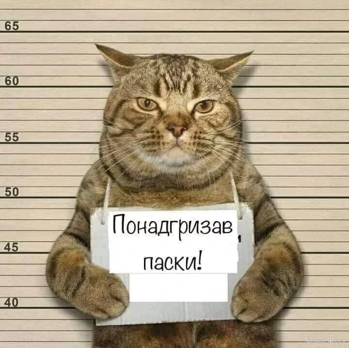 hc=l0PH8NUFNHwQ7kNvgFGTW_w&_nc_ht=scontent.fdnk1-3.webp