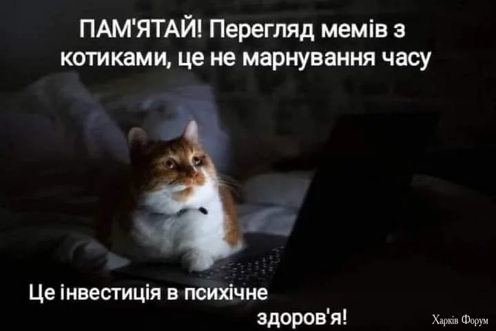 hc=L1NdC5ehCxkQ7kNvgEh7-6P&_nc_ht=scontent.fdnk1-4.webp