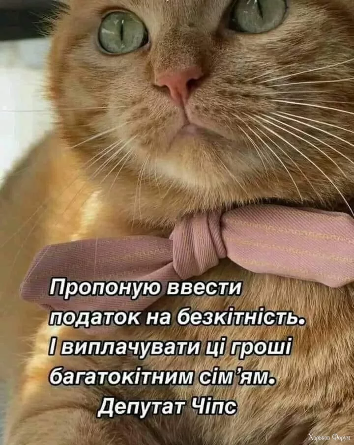 hc=LmX-PDyrWKwQ7kNvgEXe6id&_nc_ht=scontent.fdnk3-2.webp