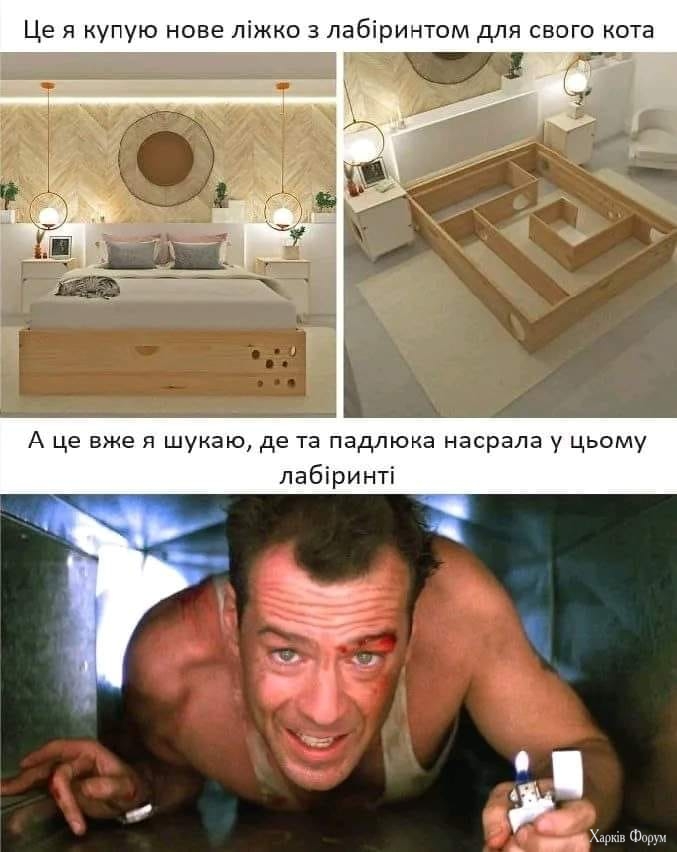 hc=pbsy4RWvsGkQ7kNvgEzgxpU&_nc_ht=scontent.fhrk8-1.jpg