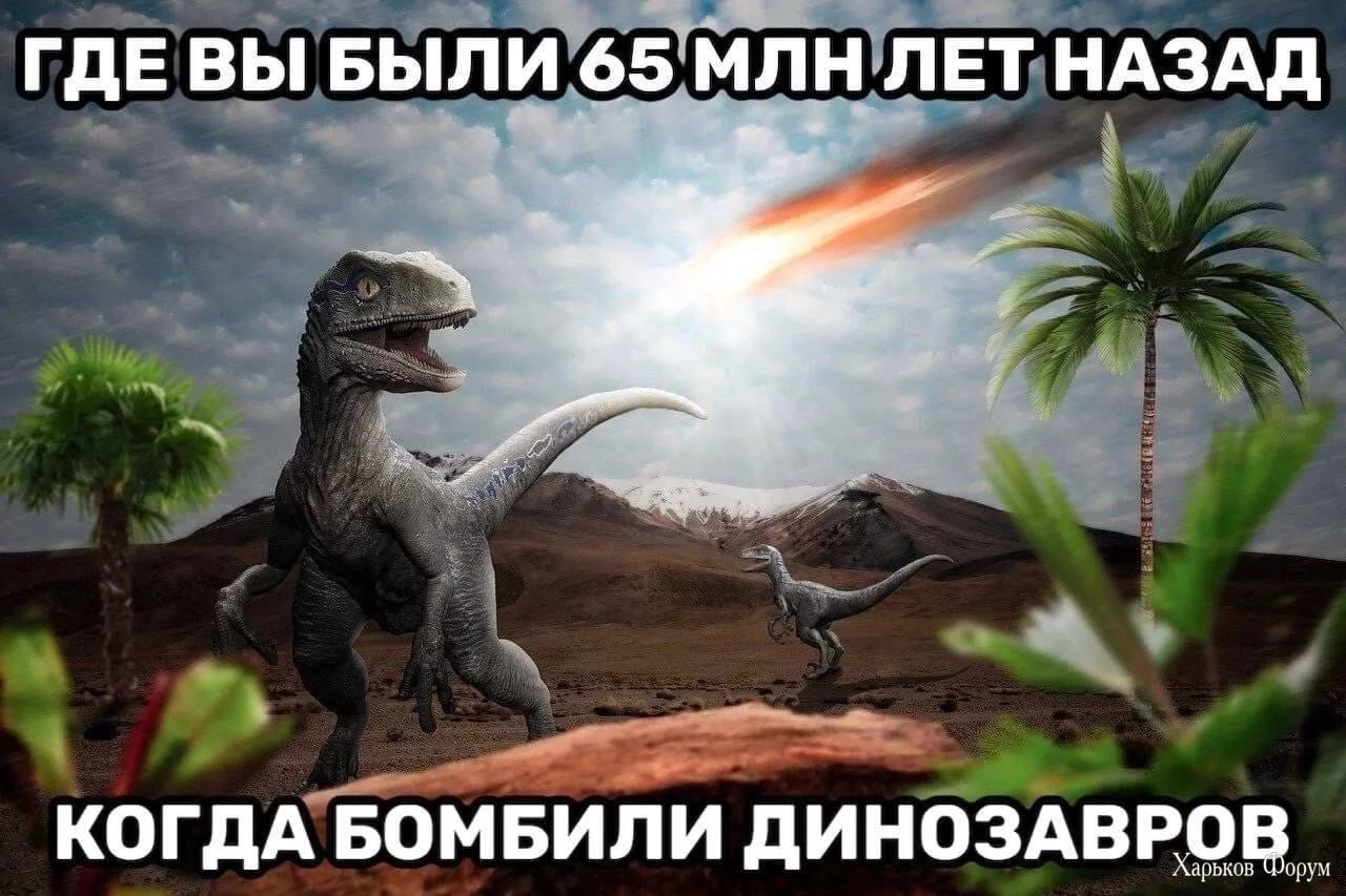 hc=Q6aJY_GMTLkQ7kNvgHKNMKw&_nc_ht=scontent.fdnk1-3.webp