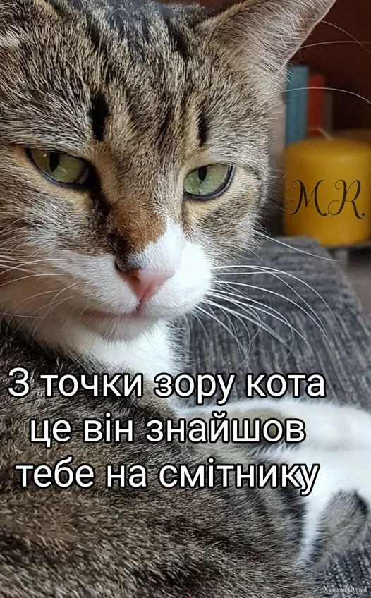 hc=rsW0yhfOZ28Q7kNvgHgdf_b&_nc_ht=scontent.fdnk3-1.webp
