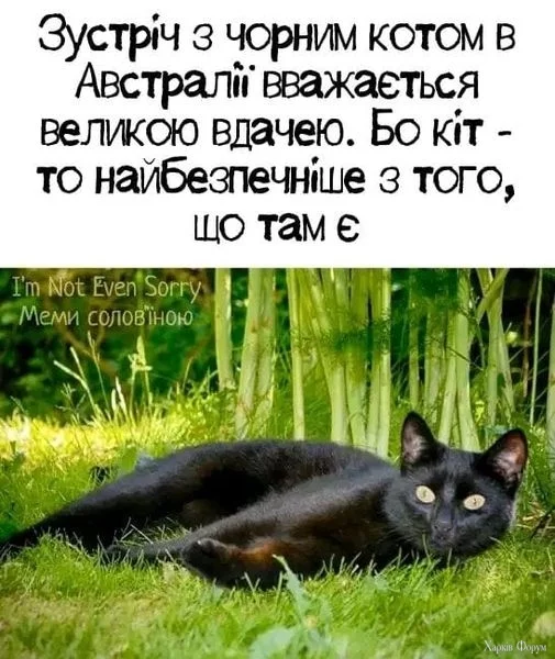 hc=T0_Oh2W-qpQQ7kNvgEayo9b&_nc_ht=scontent.fhrk8-1.webp