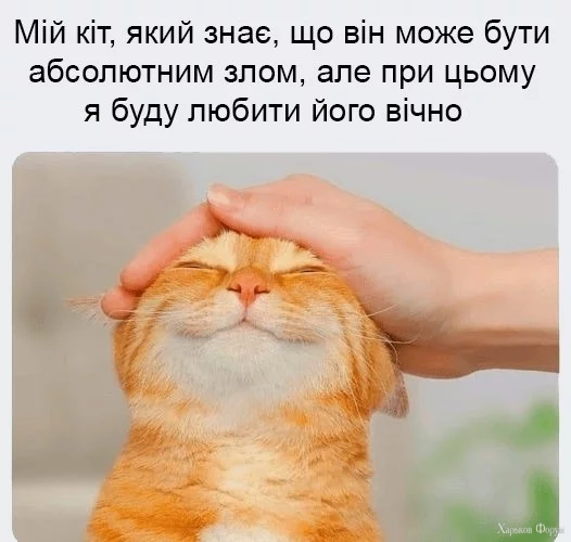 hc=VOYwsZxodwAQ7kNvgHMk2k9&_nc_ht=scontent.fdnk1-3.webp