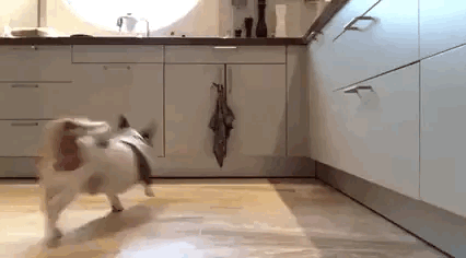 hC12A0120.gif