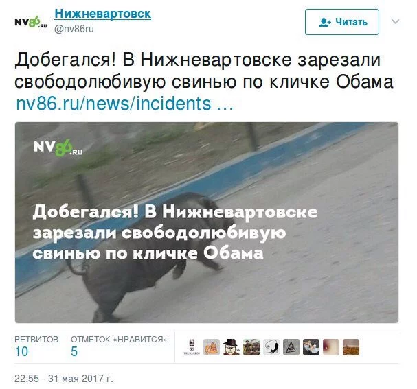 hca7ja.webp