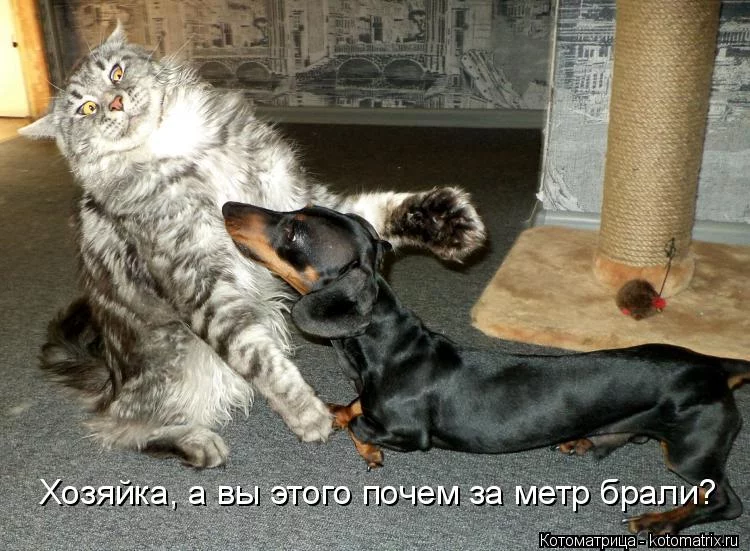 hcbh7c.webp