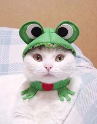 hcbj0e.webp
